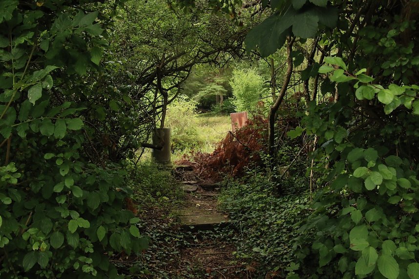 Was passiert im einst so sch&ouml;nen Teichtal bei Hainrode?