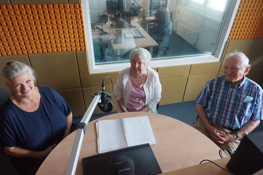 Silberdisteln bei ENNO