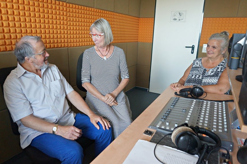 Silberdisteln bei ENNO