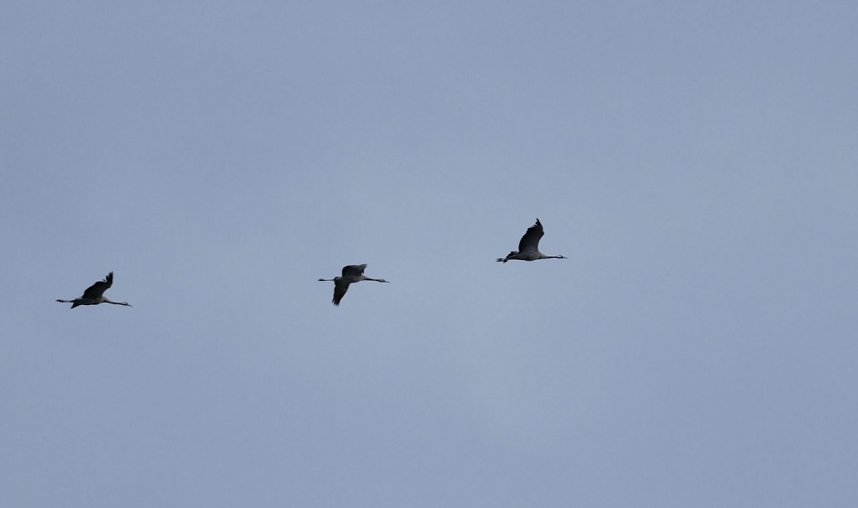 Peter Blei am Stausee Kelbra