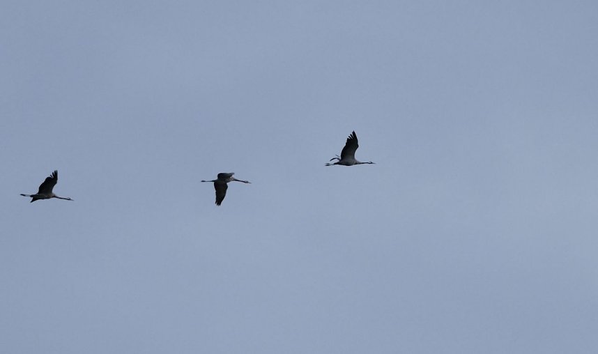 Peter Blei am Stausee Kelbra