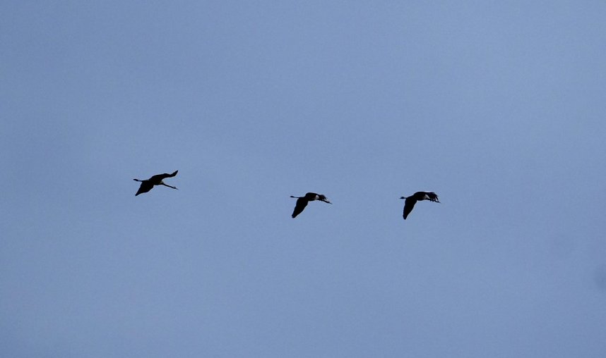 Peter Blei am Stausee Kelbra