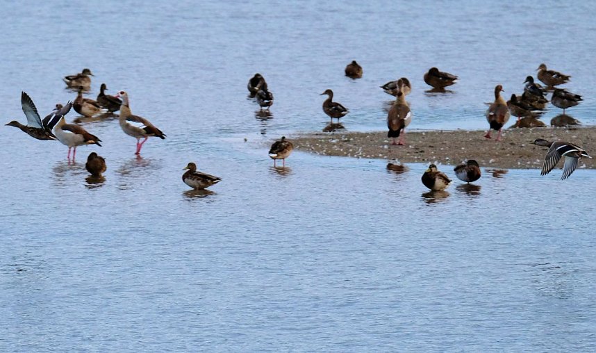 Peter Blei am Stausee Kelbra