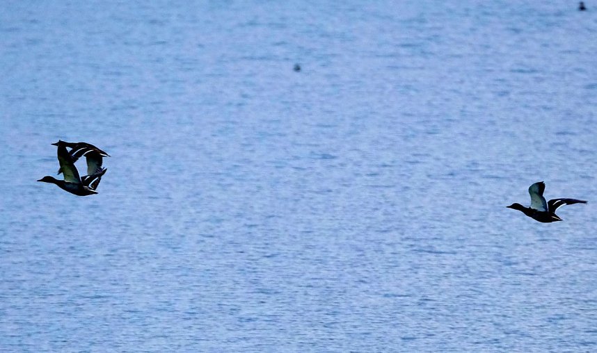 Peter Blei am Stausee Kelbra