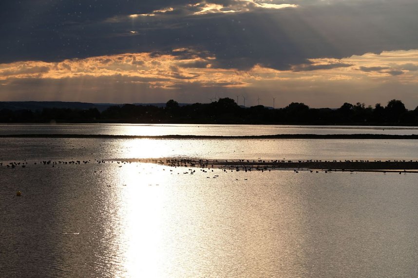 Peter Blei am Stausee Kelbra