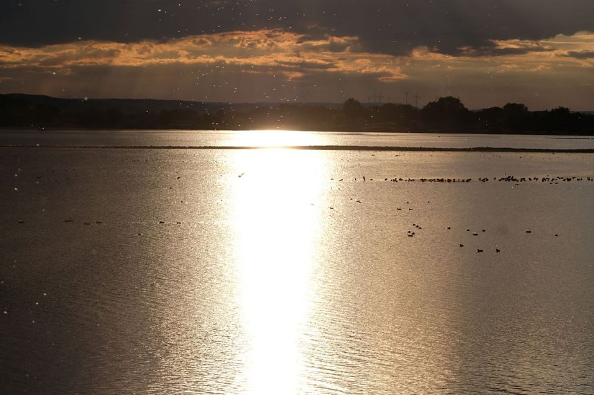 Peter Blei am Stausee Kelbra