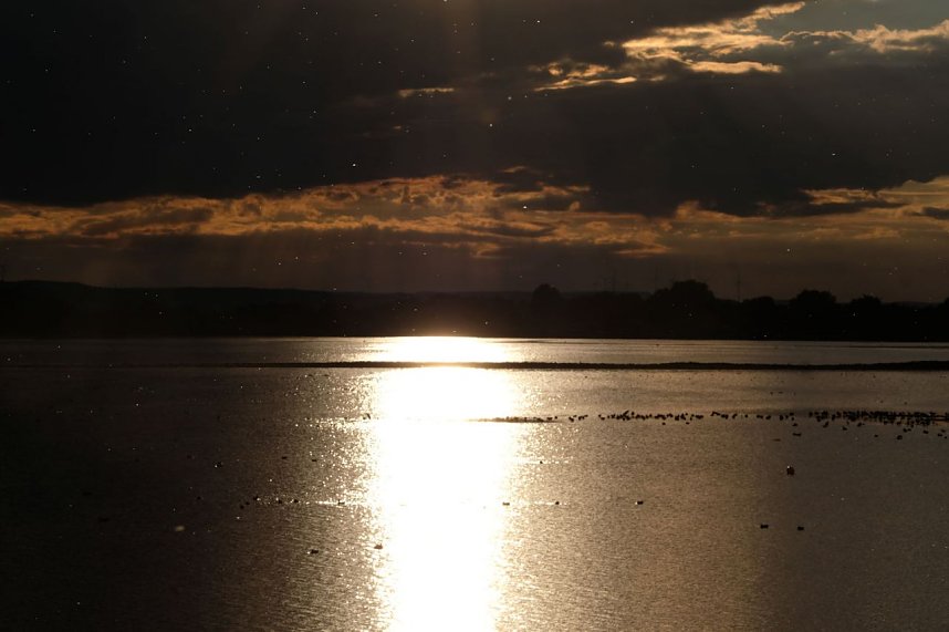 Peter Blei am Stausee Kelbra