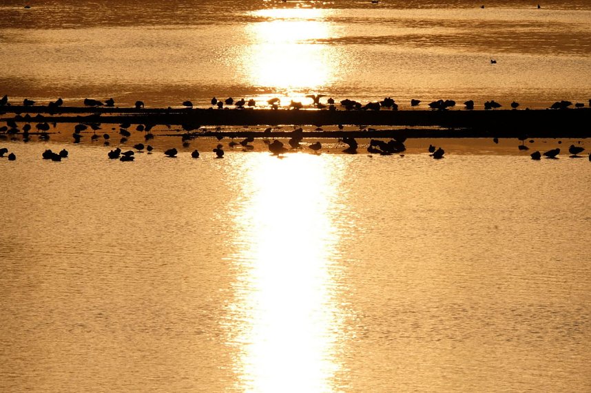 Peter Blei am Stausee Kelbra