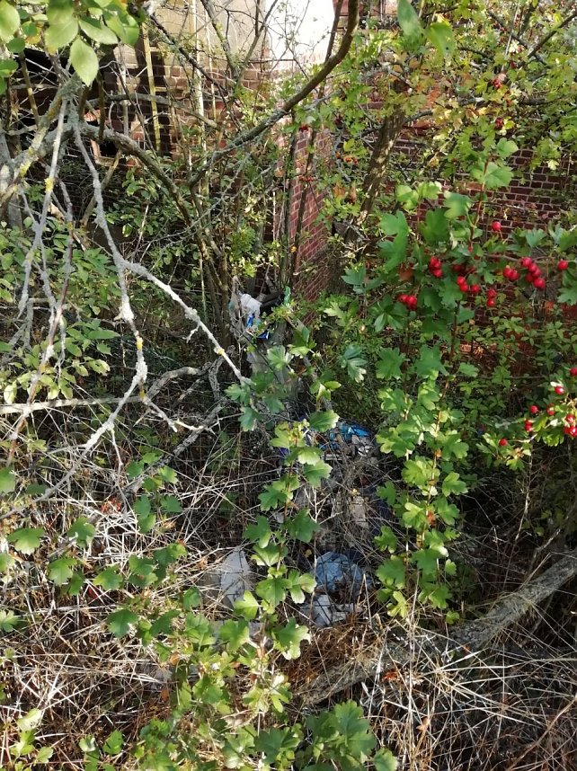 Illegale M&uuml;llentsorgung