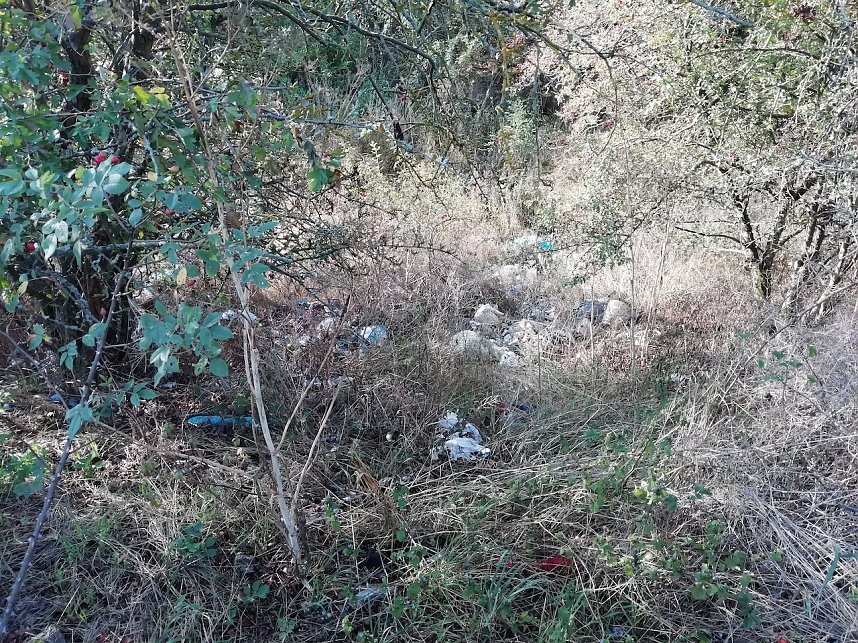 Illegale M&uuml;llentsorgung