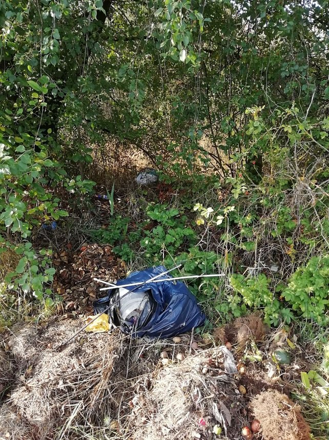 Illegale M&uuml;llentsorgung