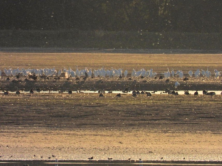Peter Blei unterwegs am Stausee Kelbra