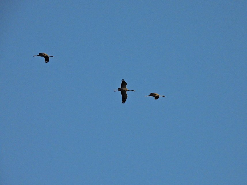 Peter Blei unterwegs am Stausee Kelbra