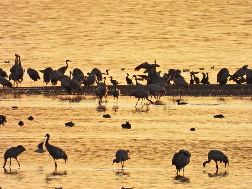 Peter Blei unterwegs am Stausee Kelbra