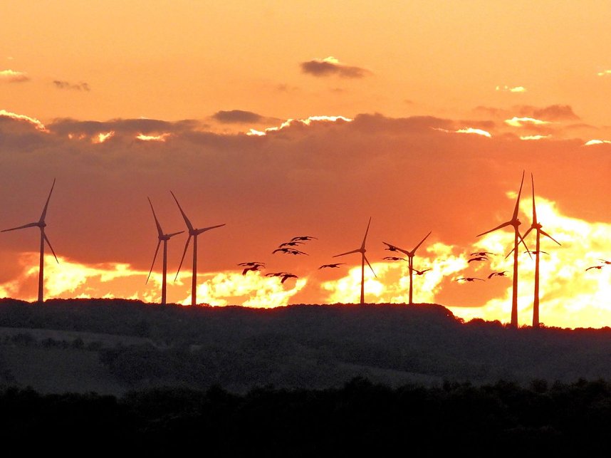 Peter Blei unterwegs am Stausee Kelbra
