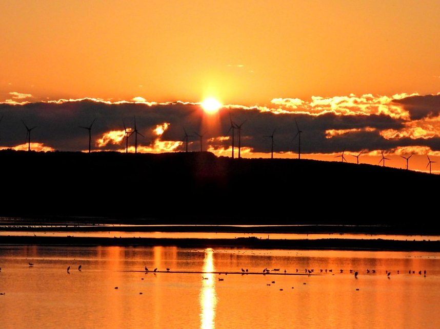 Peter Blei unterwegs am Stausee Kelbra