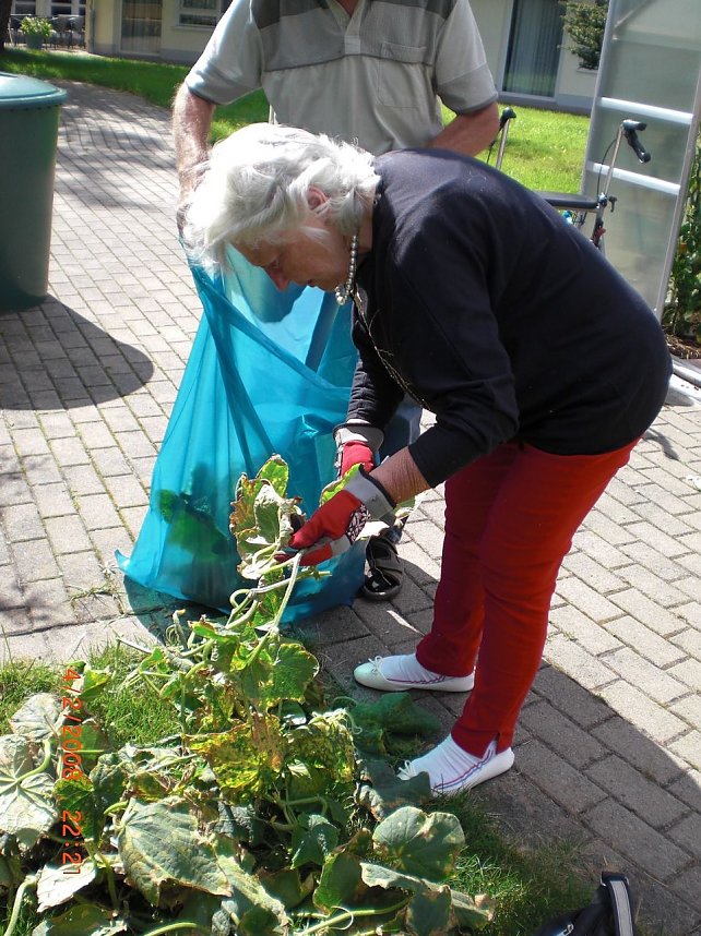 September im Sonnenhof