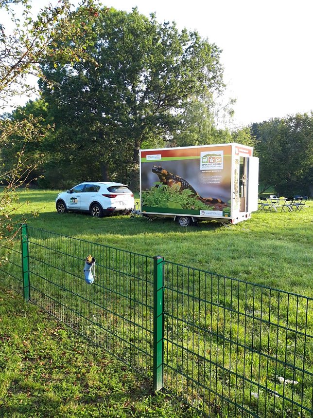 Ein toller Tag im Kindergarten