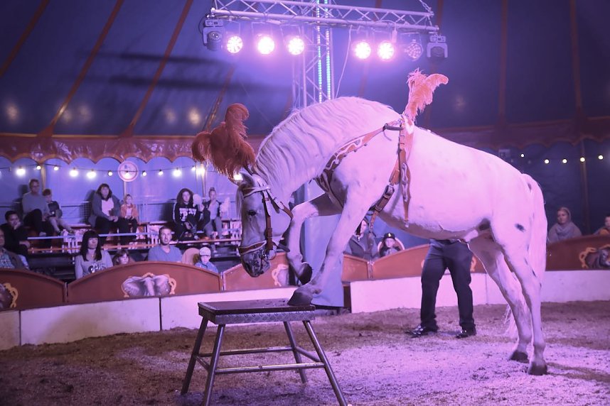Circus Atlantik am Scheunenhof