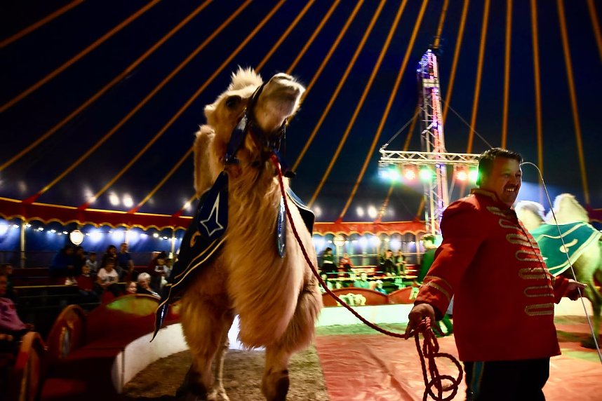Circus Atlantik am Scheunenhof