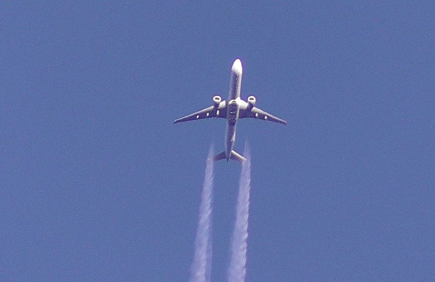 Vogelobservation am Stausee Kelbra