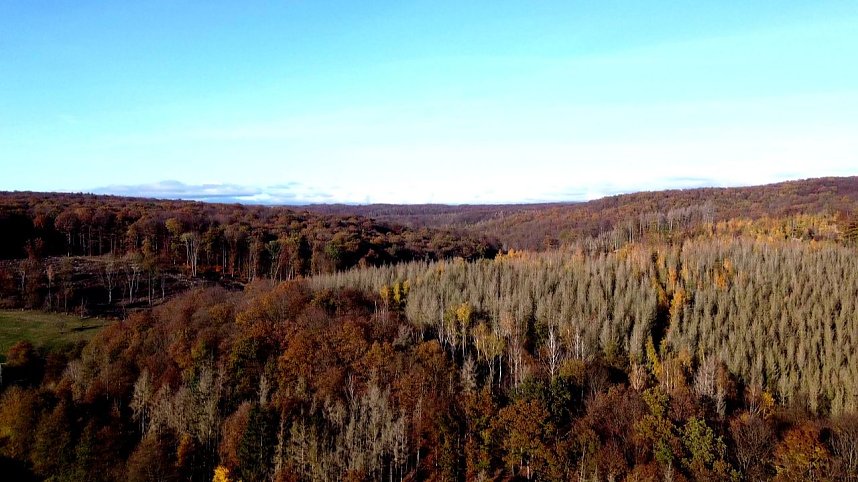 Peter Blei unterwegs im S&uuml;dharz
