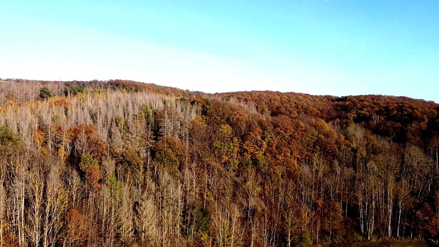 Peter Blei unterwegs im S&uuml;dharz