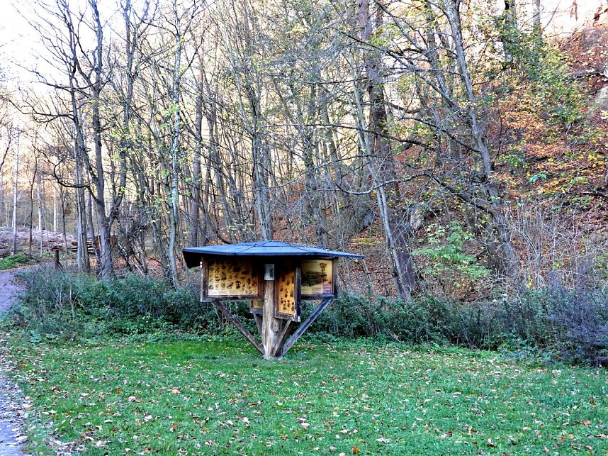 Peter Blei unterwegs im S&uuml;dharz