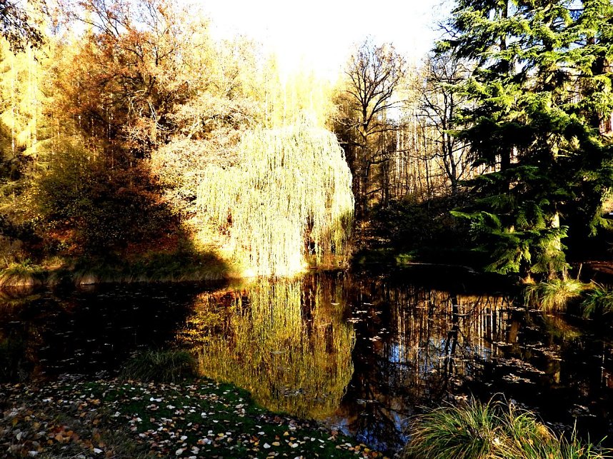 Peter Blei unterwegs im S&uuml;dharz