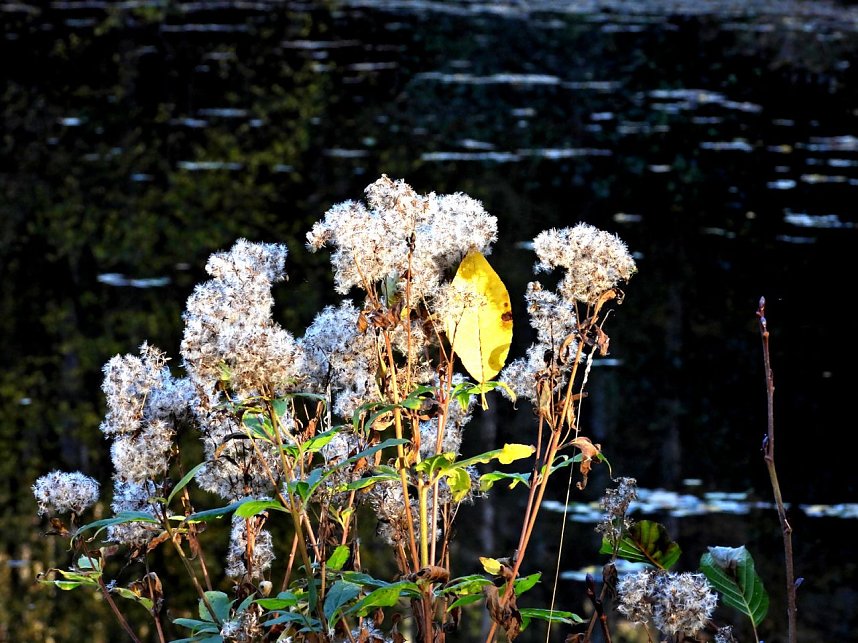 Peter Blei unterwegs im S&uuml;dharz