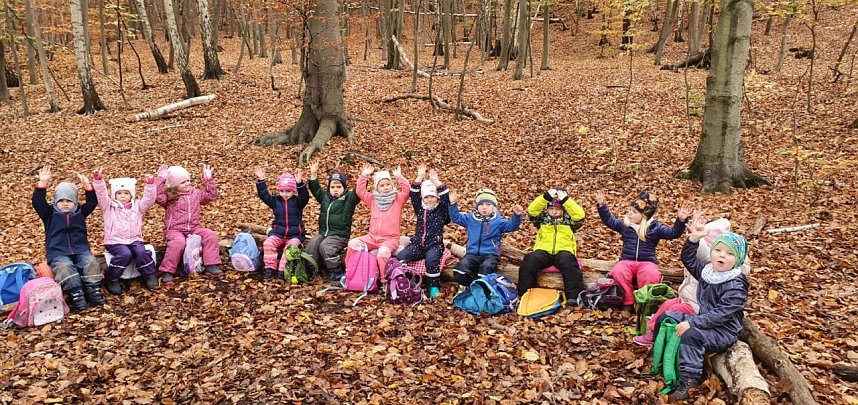 Kleine Spatzen erleben den Wald
