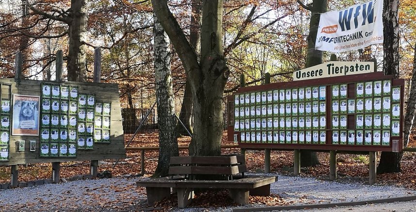 Tagesausflug zum Hexentanzplatz 