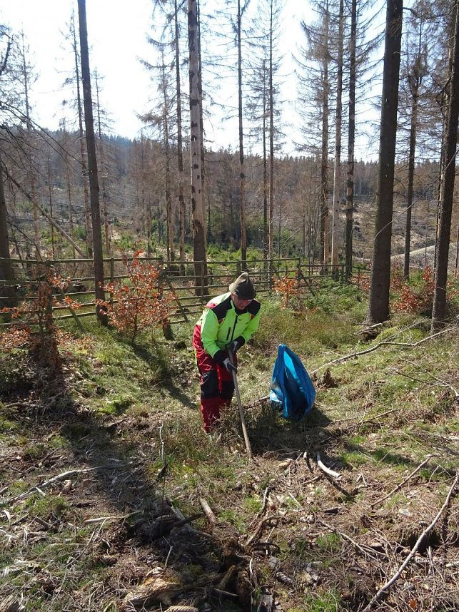 Pflanzaktion der Stadtwerke Wernigerode