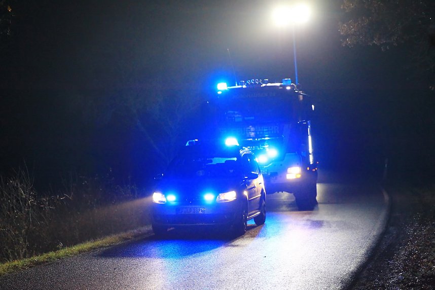 Wildunfall bei R&uuml;digsdorf