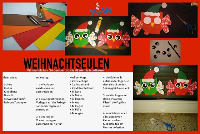 Adventsideen aus der pro Vita Akademie