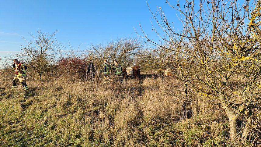 Ungew&ouml;hnlicher Einsatz