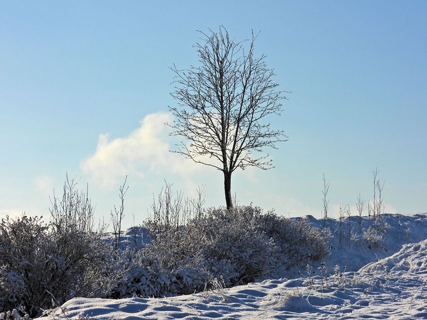 Winterliche Harzimpressionen