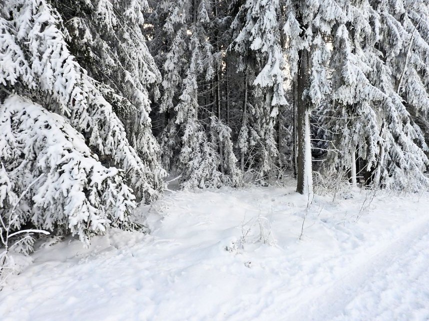 Winterliche Harzimpressionen