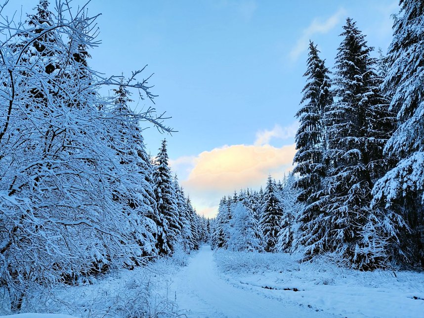 Peter Blei unterwegs in Benneckenstein