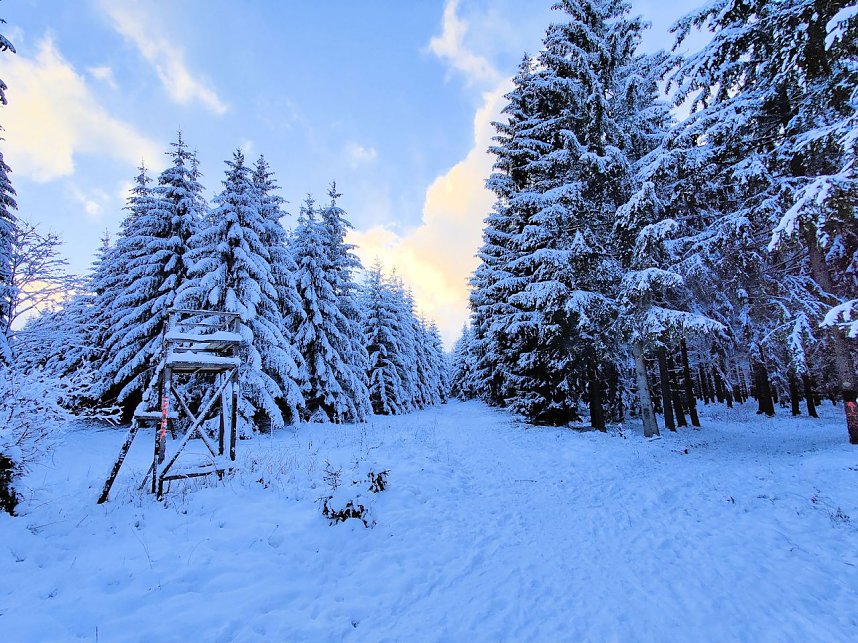 Peter Blei unterwegs in Benneckenstein