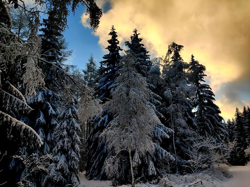 Peter Blei unterwegs in Benneckenstein