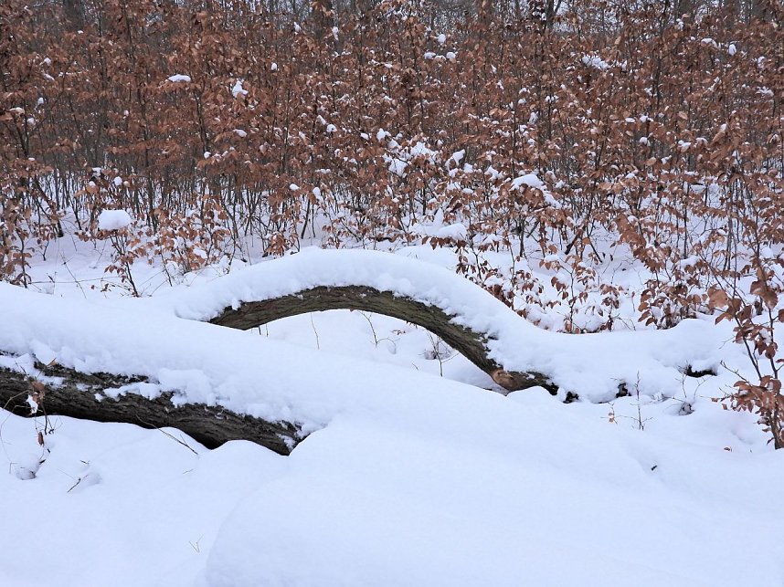 Peter Blei unterwegs bei Steigerthal