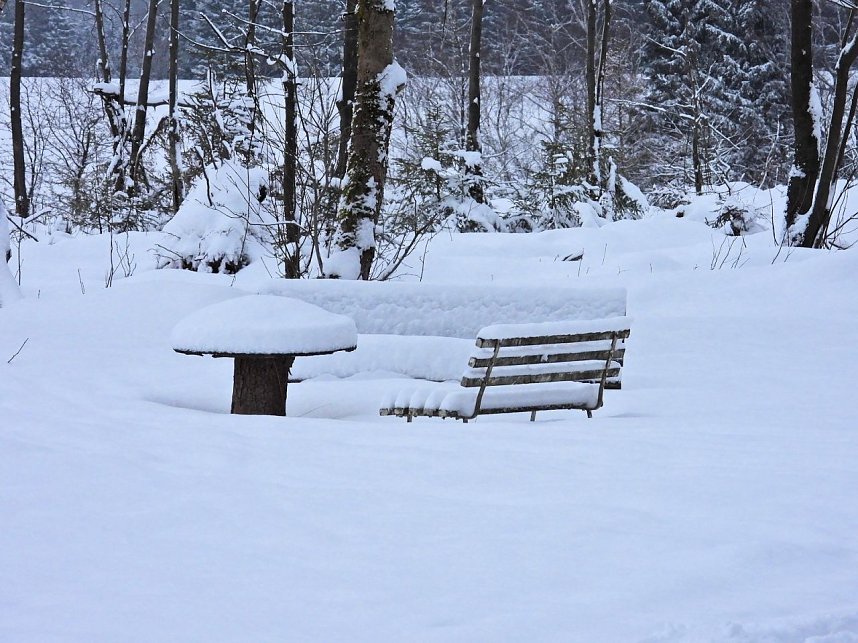 Peter Blei unterwegs im Schnee