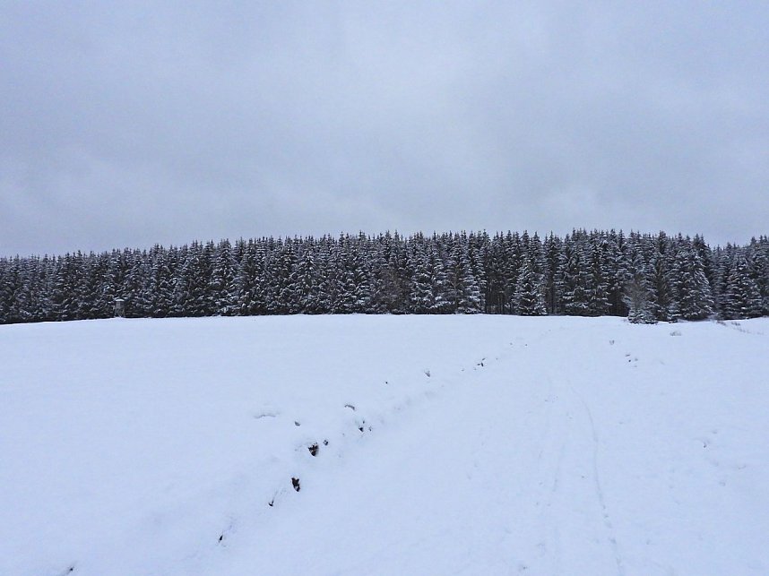Peter Blei unterwegs im Schnee