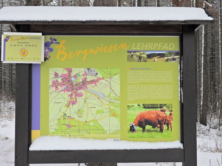 Peter Blei unterwegs im Schnee