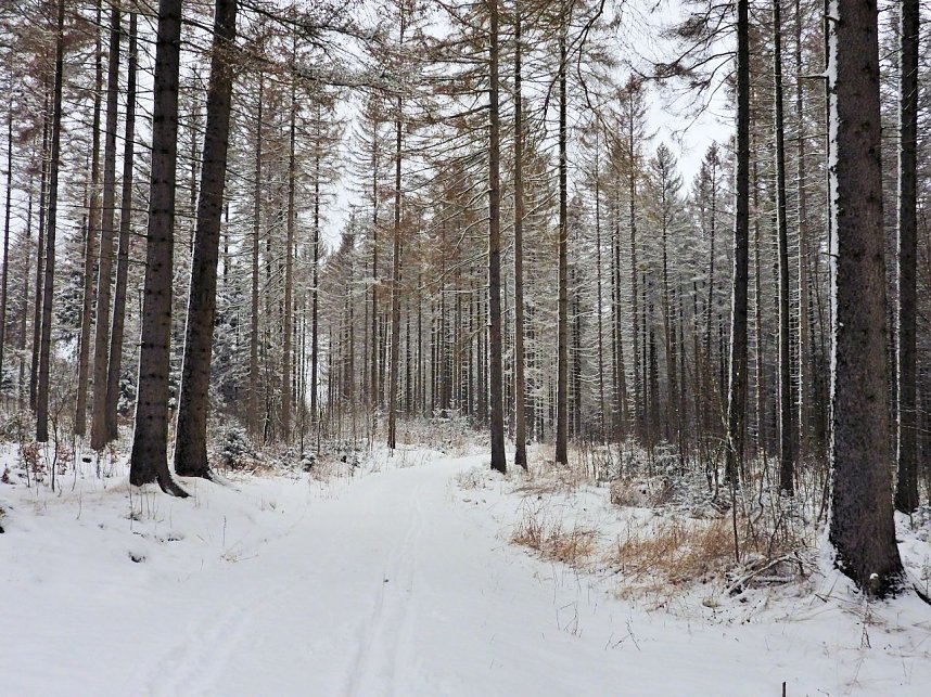 Peter Blei unterwegs im Schnee