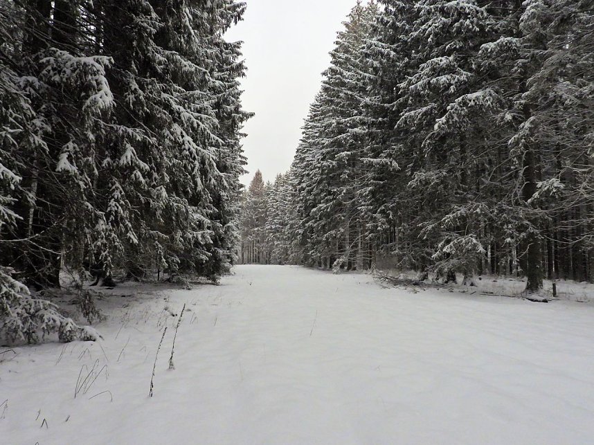Peter Blei unterwegs im Schnee