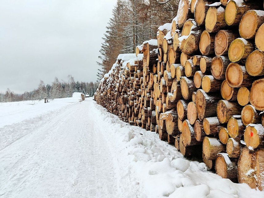 Peter Blei unterwegs im Schnee