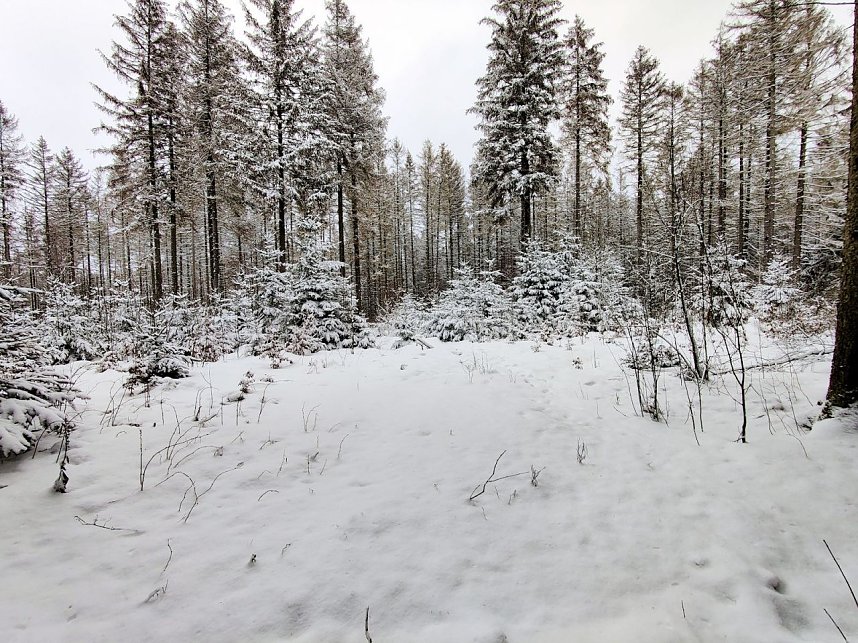 Peter Blei unterwegs im Schnee