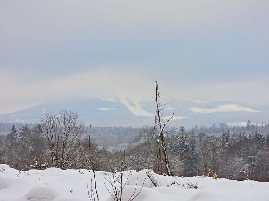 Peter Blei unterwegs im Schnee
